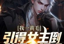 完结版《我一黄毛，引得女主倒贴很合理吧》章节阅读-牛皮文学