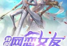 完结版《我的网恋女友竟是仙尊大佬》章节阅读-牛皮文学