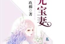 珠光宝妻小说有没有完整的免费版本在线阅读？-牛皮文学