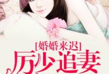 完结版《婚婚来迟，厉少追妻路漫漫》免费阅读-牛皮文学