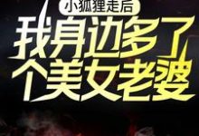 完结版《小狐狸走后，我身边多了个美女老婆》在线免费阅读-牛皮文学