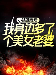 完结版《小狐狸走后，我身边多了个美女老婆》在线免费阅读