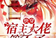 完结版《快穿：宿主大佬管不了》免费阅读-牛皮文学