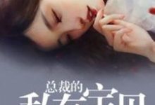 《总裁的私有宝贝》小说主角乔桑榆慕遥黎北辰章节章节免费在线阅读-牛皮文学