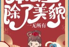 小说《本公主除了美貌，一无所有》在线章节阅读-牛皮文学