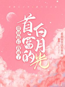 小说《霸总歇歇吧，夫人都走三年了》章节阅读