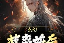 《玄幻：被离婚后，我越变越强》小说章节列表免费试读，苏玄小说在线阅读-牛皮文学