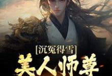 求沉冤得雪？美人师尊求我会宗小说免费资源-牛皮文学