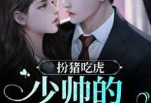 完结版《扮猪吃虎！少帅的暖床娇妻》免费阅读-牛皮文学