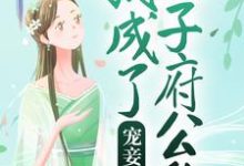 完结版《宠妾上位：我成了太子府公敌》章节阅读-牛皮文学