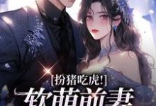 完结版《扮猪吃虎！软萌前妻拿捏他》在线免费阅读-牛皮文学