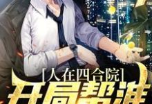 完结版《人在四合院，开局帮淮如赚点钱》在线免费阅读-牛皮文学