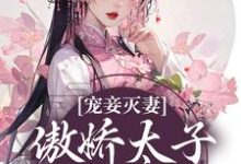 完结版《宠妾灭妻：傲娇太子放肆宠》在线免费阅读-牛皮文学