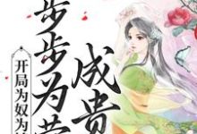 小说《开局为奴为婢，步步为营成贵妃》在线章节阅读-牛皮文学