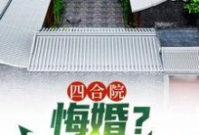 刘光齐小说叫什么（四合院：悔婚？感谢不嫁之恩免费阅读）-牛皮文学