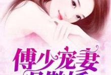 完结版《傅少宠妻很傲娇》章节阅读-牛皮文学