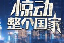 完结版《我一通电话，惊动整个国家》章节目录在线阅读-牛皮文学