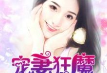 完结版《宠妻狂魔》章节目录在线阅读-牛皮文学