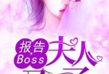 哪里可以免费读到沈千歌阎默寒汤少龙的完整故事？寻找报告Boss：夫人又怀了-牛皮文学