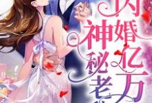 完结版《闪婚亿万神秘老公》章节目录在线阅读-牛皮文学