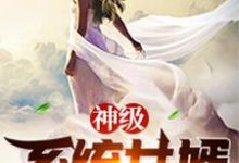 神级系统女婿小说有没有完整的免费版本在线阅读？-牛皮文学