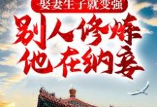 《娶妻生子就变强，别人修炼他在纳妾》全集免费在线阅读（宁越）-牛皮文学