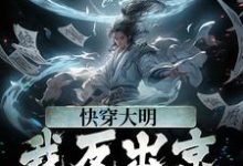 快穿大明：我反出京师对抗皇帝这本小说完结了吗？免费查看最新章节-牛皮文学