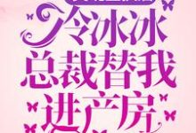 主人公叫严辞步姗的小说灵魂互换后，冷冰冰总裁替我进产房在线阅读章节-牛皮文学