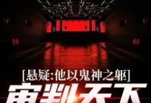 完结版《悬疑：他以鬼神之躯，审判天下罪恶》免费阅读-牛皮文学