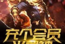 充个会员当武神小说阅读，充个会员当武神完结版-牛皮文学