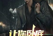 完结版《让你卧底，没让你当老大》在线免费阅读-牛皮文学