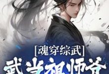 魂穿综武：武当祖师爷出山了小说全文阅读需要付费吗？寻找免费资源-牛皮文学