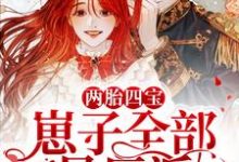 《两胎四宝，崽子全部是反派》小说大结局免费试读 江瑾厉北霄瑾瑾小说-牛皮文学