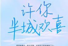 完结版《许你半城欢喜》章节目录在线阅读-牛皮文学