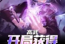 完结版《高武：开局获得氪命系统》章节阅读-牛皮文学