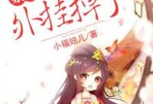 娘子，你的外挂掉了章节免费在线阅读，陶玉卿项衡完结版-牛皮文学