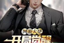 完结版《网游大佬：开局觉醒红温系统》在线免费阅读-牛皮文学