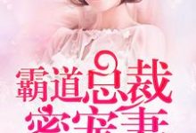 完结版《闪婚蜜爱：霸道总裁蜜宠妻》章节阅读-牛皮文学