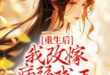 完结版《重生后，我改嫁病弱残王扶他上位》章节目录在线阅读-牛皮文学