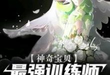 小说《神奇宝贝：最强训练师之路》在线章节阅读-牛皮文学