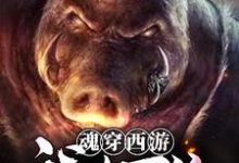 完结版《魂穿西游：我有万倍暴击系统》在线免费阅读-牛皮文学