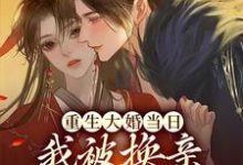 《重生大婚当日，我被换亲成摄政王妃》小说章节在线试读，《重生大婚当日，我被换亲成摄政王妃》最新章节目录-牛皮文学