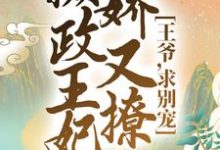 完结版《摄政王妃娇又撩：王爷，求别宠！》章节阅读-牛皮文学