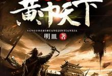 三国之黄巾天下章节免费在线阅读，赵弘赵无忌吕布诸葛亮完结版-牛皮文学