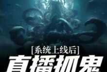 完结版《系统上线后，直播抓鬼返战斗力》在线免费阅读-牛皮文学