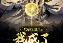 完结版《被系统抛弃后，我成了绝世高手》章节阅读-牛皮文学