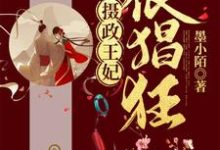 完结版《摄政王妃很猖狂》章节阅读-牛皮文学