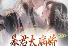 《暴君太病娇，炮灰公主逃不掉》小说章节列表免费试读，江无眠耶律央小说在线阅读-牛皮文学