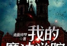 完结版《我的魔法学院》章节阅读-牛皮文学