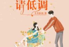 完结版《甜宠暖婚：总裁宠妻请低调》章节阅读-牛皮文学